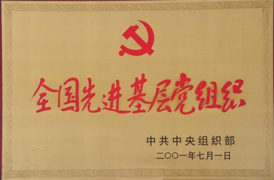 5d620303f2634